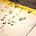 Скатерть ПВХ