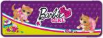 BRCB-US1-119281 Пенал жесткий с точилками (пластик, PVC). Размер 8 х 23 х 2,5 см Упак. 6/48 шт. Barbie