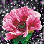 Кристальная мозаика (алмазная вышивка) "ФРЕЯ" ALV-37   "Мак"