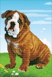 Кристальная мозаика (алмазная вышивка) "ФРЕЯ" ALV-10   "Бульдог"