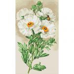 Кристальная мозаика (алмазная вышивка) "ФРЕЯ" ALV-2 01   "Белая ромнея"