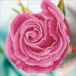 Кристальная мозаика (алмазная вышивка) "ФРЕЯ" ALV-47   "Розовый бутон"