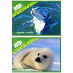 Альбом для рисования, А4, 210х297 мм, 32 л, скоба, 100 г/м2, картон мелованный, ANIMAL PLANET, 2 дизайна, белый