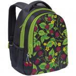 Рюкзак Grizzly, 27*37*17см, 2 отделения, 2 кармана, анатомическая спинка, RD-832-2/2**/5