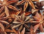 Специя Бадьян (Звездчатый анис)