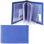 Визитница Croco-В-201  (18листов)  натуральная кожа васильковый флотер (105)  208485