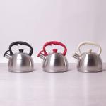 0693N Kamille Чайник 2л из нержавеющей стали со свистком и бакелитовой ручкой (цвета ручки: красный, белый,чёрный)