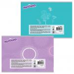 Альбом д/рис. А4 12л., скоба, обложка картон, ЮНЛАНДИЯ, 200х283мм, Волшебные птички (2вида), 105044