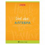 Тетради предметные, КОМПЛЕКТ 10 ПРЕДМЕТОВ, "ПАЛИТРА ЗНАНИЙ", 36 л., BRAUBERG, 403558