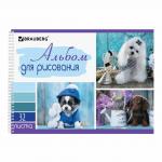 Альбом для рисования А4 32 л., гребень, выборочный лак, BRAUBERG, 205х290 мм, Песики (1 Вид), 105082