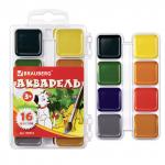 Краски акварельные BRAUBERG "АКАДЕМИЯ", 16 цв, медовые, квадратные кюветы, пластиковый пенал, 190552