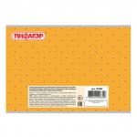 Альбом для рисования А4 40 л., скоба, обложка офсет, ПИФАГОР, 205х290 мм, Медвежонок и цветы (1 Вид), 105083