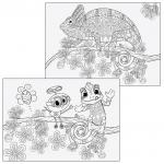 Альбом д/рис. А4 24л., скоба, обложка картон, с раскраской, ЮНЛАНДИЯ, 202х285мм, Экзотика (2вида)