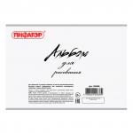 Альбом для рисования А4 40 л., скоба, обложка офсет, ПИФАГОР, 205х290 мм, Дикая природа (1 Вид), 105086