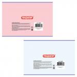 Альбом для рисования А4 12 л., скоба, обложка офсет, ПИФАГОР, 200х285 мм, Цветочки (2 вида), 104857