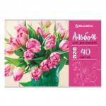 Альбом для рисования А4 40 л., скоба, обложка картон, BRAUBERG ЭКО, 202х285 мм, Тюльпаны (1 Вид), 105088