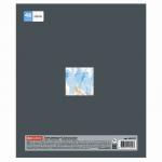 Тетрадь предметная "NAVIGATOR" 48 л., выборочный лак, ОБЩЕСТВОЗНАНИЕ, клетка, подсказ, BRAUBERG, 403537