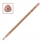 Карандаши цветные BRAUBERG "ЦВЕТЫ", 24 цвета, трехгранные заточенные, лакированное дерево, 181368