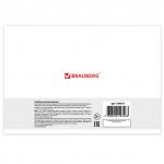 Альбом д/рис. А4 20л., скоба, обложка картон, BRAUBERG, 200х283мм, Природа (2вида), 104871