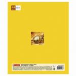 Тетрадь предметная "NAVIGATOR" 48 л., выборочный лак, ГЕОГРАФИЯ, клетка, подсказ, BRAUBERG, 403541