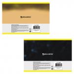 Альбом для рисования А4 40 л., скоба, обложка картон, BRAUBERG, 200х283 мм, Дикие животные (2 вида), 104876