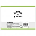 Альбом д/рис. А4 40л., скоба, обложка картон, BRAUBERG, 200х283мм, Гонки (2вида), 104877