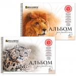 Альбом для рисования А4 40 л., гребень, обложка картон, BRAUBERG, 205х290 мм, Благородные кошки(2 вида),102831