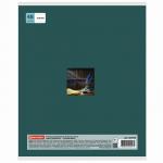 Тетрадь предметная "NAVIGATOR" 48 л., выборочный лак, РУССКИЙ ЯЗЫК, линия, подсказ, BRAUBERG, 403545