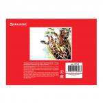 Альбом для рисования А4 40 л., гребень, обложка картон, BRAUBERG ЭКО, 205х290 мм, Жирафы (1 Вид), 105104