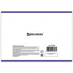 Альбом для рисования А4 40 л., скоба, блестки, BRAUBERG, 202х285 мм, Удивительные цветы (2 вида), 104878