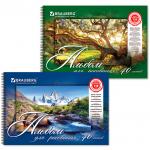 Альбом для рисования А4 40 л., гребень, обложка картон, BRAUBERG, 205х290 мм, Природа (2 вида), 102832