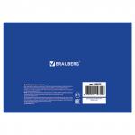 Альбом д/рис. А4 40л., скоба, блестки, BRAUBERG, 202х285мм, Палитра (2вида), 104879