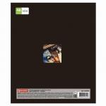 Тетрадь предметная "NAVIGATOR" 48 л., выборочный лак, ФИЗИКА, клетка, подсказ, BRAUBERG, 403547