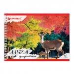 Альбом для рисования А4 40 л., гребень, обложка картон, BRAUBERG ЭКО, 205х290 мм, Дикий лес (1 Вид), 105107