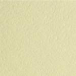 Альбом д/пастели А4 210х297мм, 20л., 280г/м2, цвет "слоновая кость", сутаж, Палаццо, АПС4