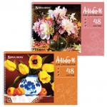 Альбом для рисования А4 48 л., гребень, обложка картон, BRAUBERG ЭКО, 205х290 мм, Живопись (2 вида), 105108