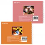 Альбом для рисования А4 48 л., гребень, обложка картон, BRAUBERG ЭКО, 205х290 мм, Живопись (2 вида), 105108