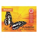 Альбом для рисования А4 40 л., скоба, выборочный лак, BRAUBERG, 202х285 мм, Летняя феерия (1 Вид), 103434