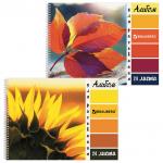 Альбом для рисования А4 24 л., гребень, обложка картон, BRAUBERG ЭКО, 205х290 мм, Макро (2 вида), 105062