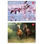 Альбом для рисования А4 32 л., скоба, обложка картон, BRAUBERG, 200х283 мм, Живая природа (2 вида), 103683