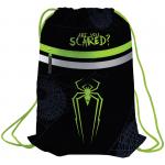 Мешок для обуви Berlingo "Spider", 410*490мм, световозвращающая лента, 1 отд., карман на молнии, MS09330