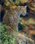 Вышивка крестиком 40х50 Арт. 0157 Леопард