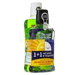 Лесной бальзам ОПОЛАСКИВАТЕЛЬ ШАЛФЕЙ 400 мл + НОЧНОЙ 240 мл