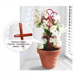 NEW. Шпалера для комнатных растений Ромашка h 0,43 м, проволочная s 0,3 см, зеленая эмаль (Россия)