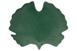 Блюдо-листок (гинкго) сервировочное (зелёный) Мадагаскар в подарочной упаковке