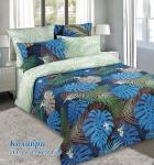 Комплект постельного белья Поплин / Колибри