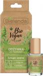 BIELENDA BIO VEGAN NAIL CARE укрепляющий кондиционер для ногтей с семенами конопли 10 мл