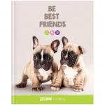 Дневник 1-4 кл. 48л. (твердый) Питомцы. Маленькие друзья, глянцевая ламинация, Дм48т_31753