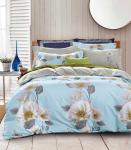 КПБ Boris Dense BORD013