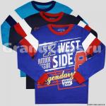 Лонгслив для мальчика Bonito Kids